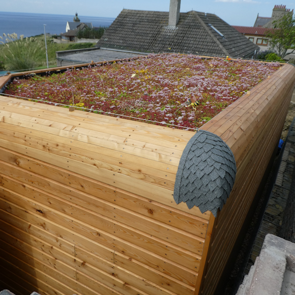 Inventive Ways to Use a Green Roof